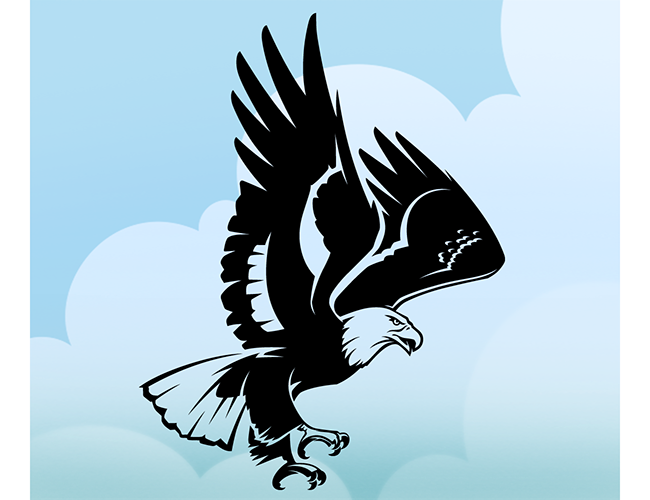 LePine Studios - Quinlan Co.: graphic of eagle