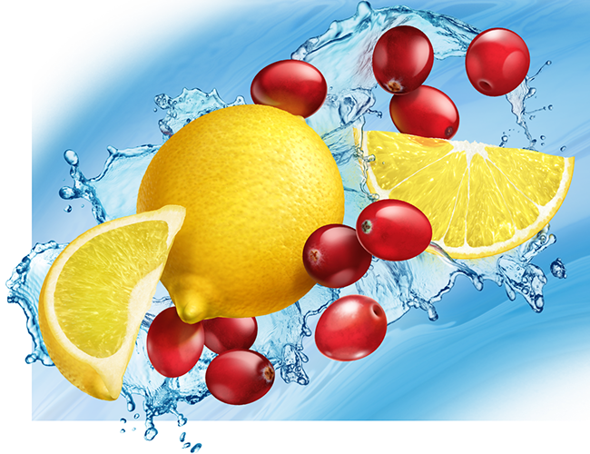 LePine Studios - realistic illustration | Ketologic Keto Energy drink mix: cranberry lemonade