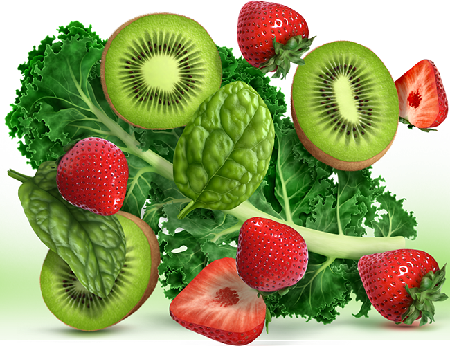 LePine Studios - realistic illustration | Ketologic MacroGreens:&nbsp; kale, spinach, kiwi, and strawberries.