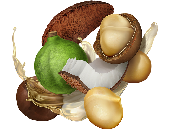 LePine Studios - realistic illustration | F-Bomb Nut Oil: hazelnut, brazil nut, and coconut