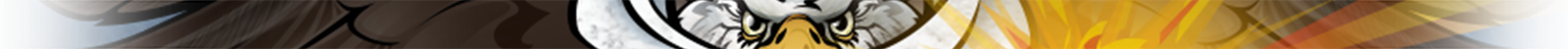 Government Eagle illustration artwork banner