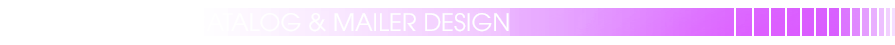 Catalogs Design & Mailer Portfolio banner Artwork
