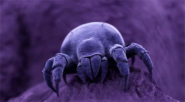 Thumbnail for Intellipure Dust Mite animation