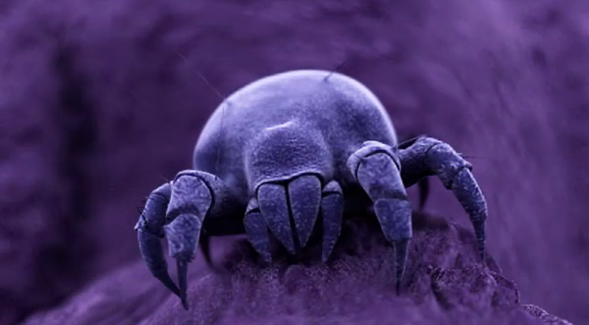 Thumbnail for Intellipure Dust Mite animation